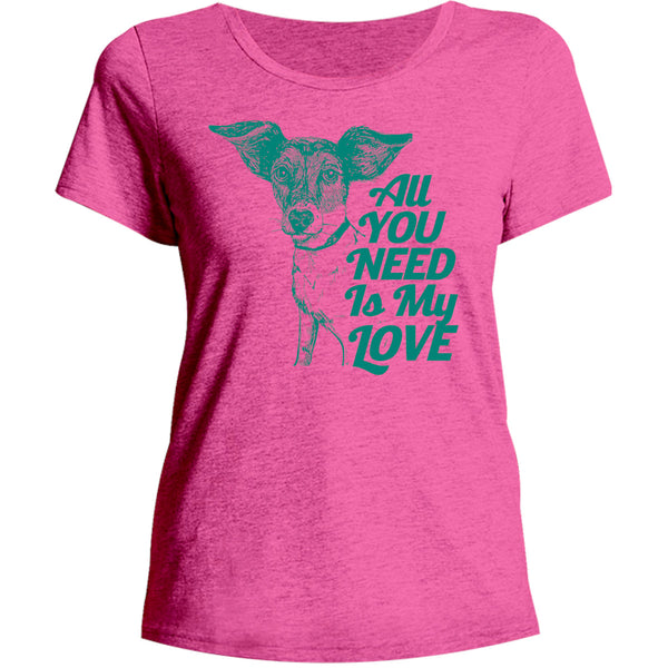 All You Need Is My Love - Ladies Relaxed Fit Tee