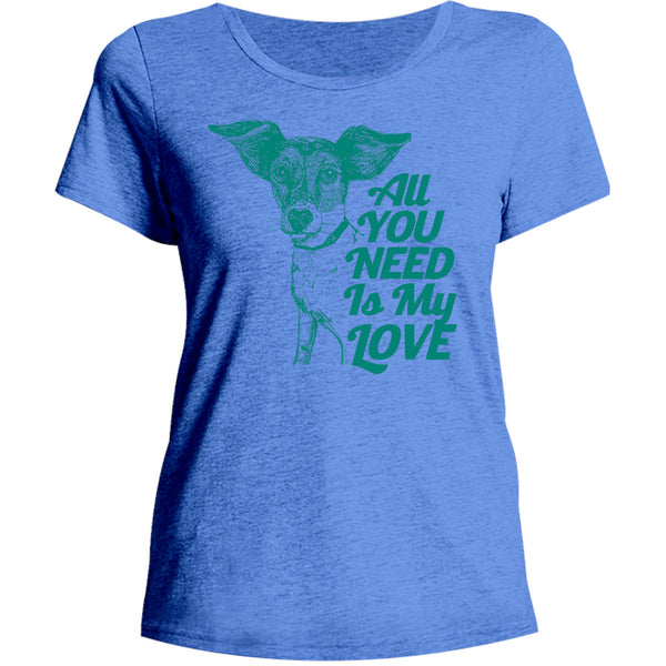 All You Need Is My Love - Ladies Relaxed Fit Tee