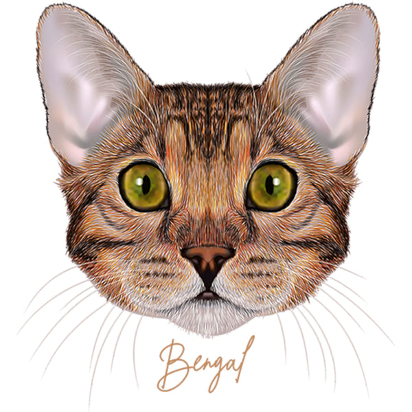 Bengal - Unisex Tee - Plus Size - Graphic Tees Australia