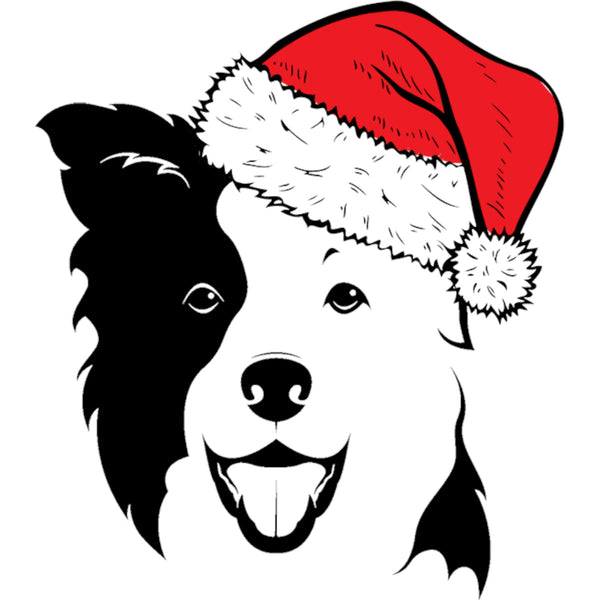 Border Collie Santa Hat - Youth & Infant Tee