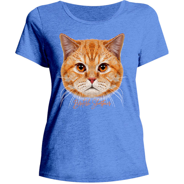 British Shorthair - Ladies Relaxed Fit Tee - Graphic Tees Australia