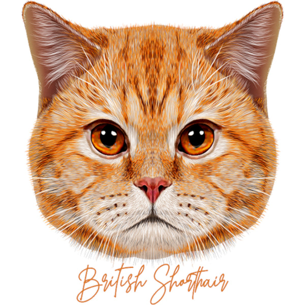 British Shorthair - Ladies Slim Fit Tee - Graphic Tees Australia