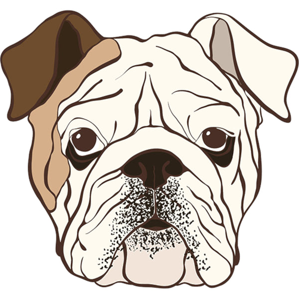 Bulldog Face - Ladies Relaxed Fit Tee