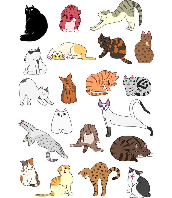 Cat Poses - Unisex Tee - Graphic Tees Australia