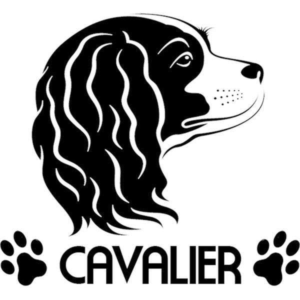 Cavalier - Polar Fleece Blanket - Graphic Tees Australia