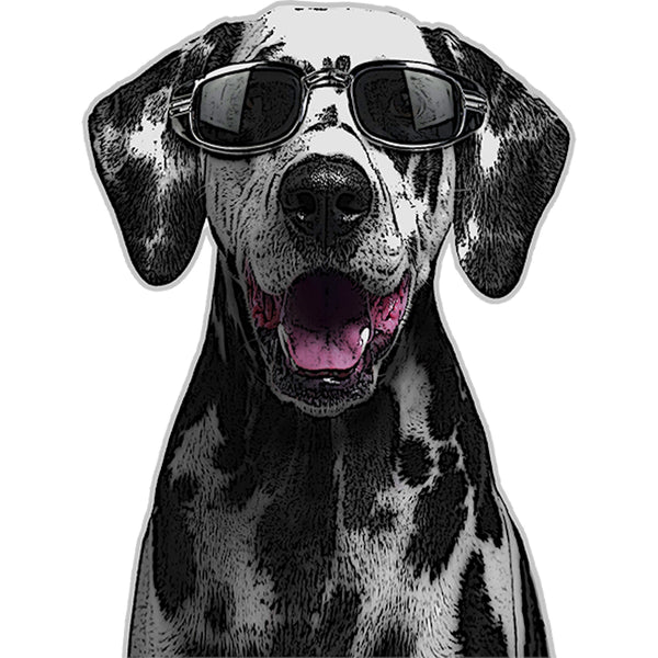 Dalmatian Cool As - Ladies Slim Fit Tee - Graphic Tees Australia