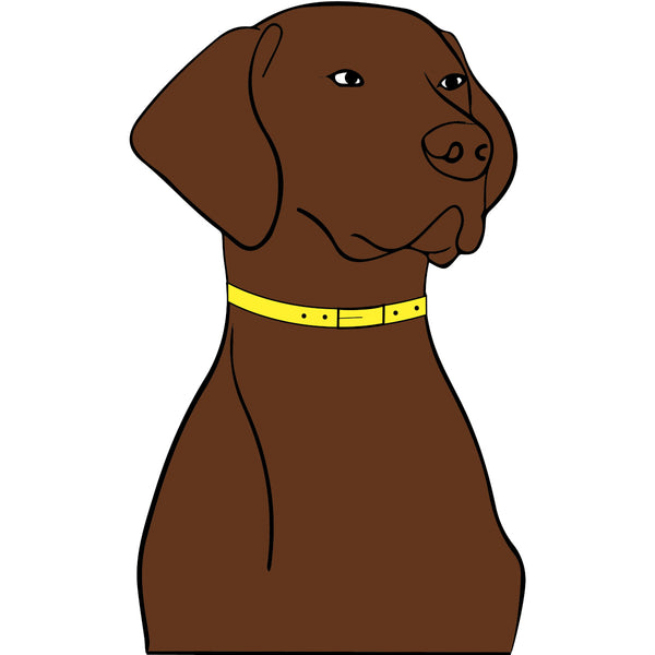 Hungarian Vizsla - Youth & Infant Tee