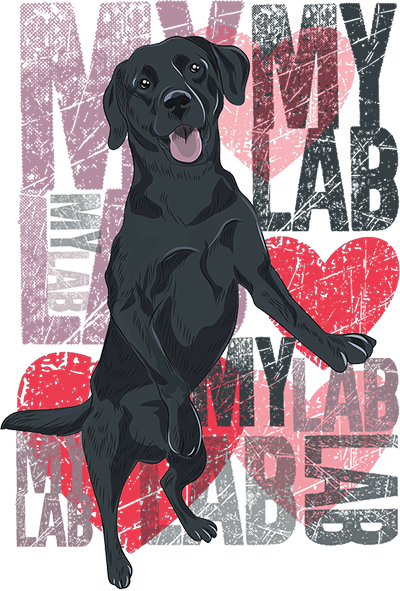 I Love My Lab - Ladies Slim Fit Tee - Graphic Tees Australia
