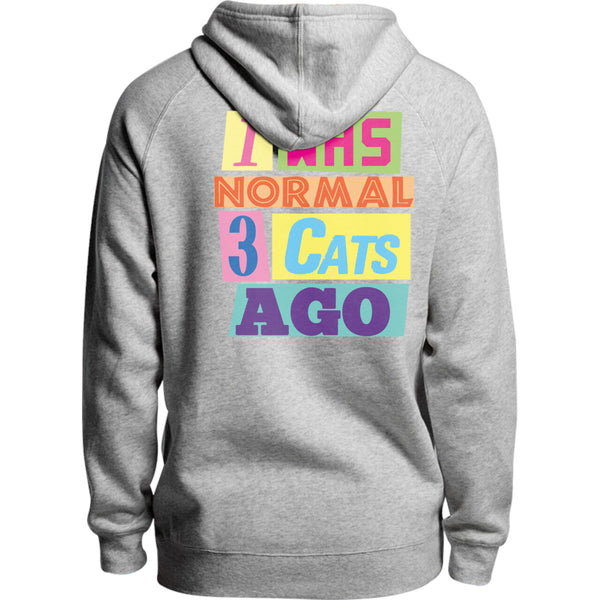 I Was Normal 3 Cats Ago - Unisex Hoodie - Plus Size