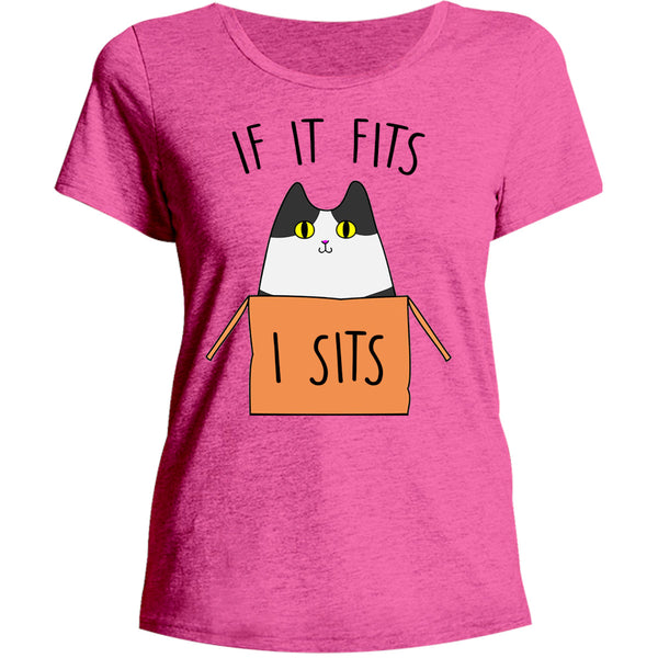 If It Fits I Sits - Ladies Relaxed Fit Tee