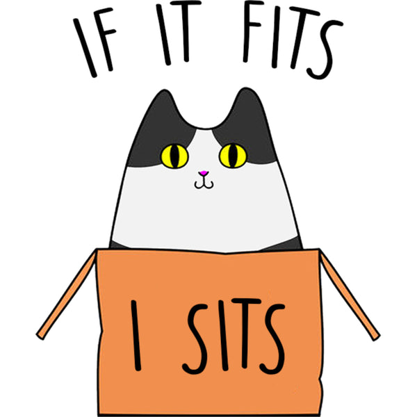 If It Fits I Sits - Ladies Relaxed Fit Tee
