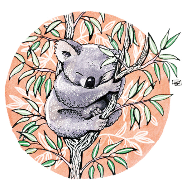 Koala - Youth & Infant Tee - Graphic Tees Australia