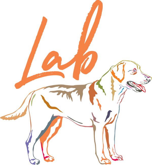 Lab Colourful - Ladies Slim Fit Tee - Graphic Tees Australia