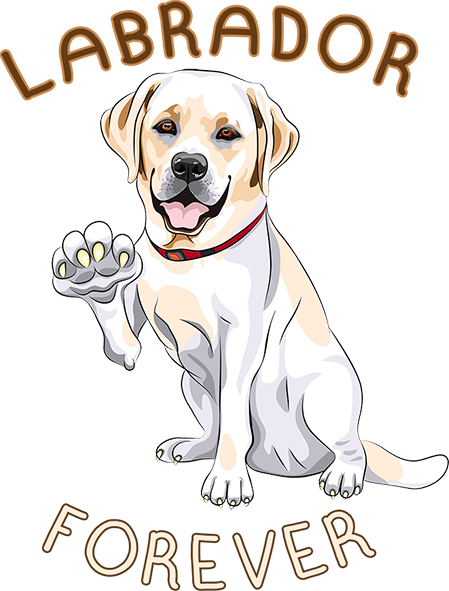 Labrador Forever - Ladies Slim Fit Tee - Graphic Tees Australia