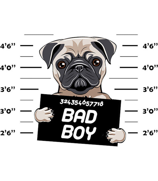 Pug Bad Boy - Ladies Slim Fit Tee - Graphic Tees Australia