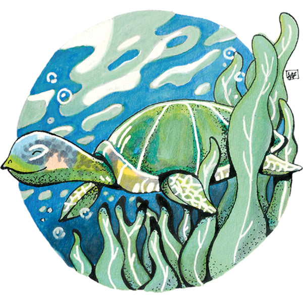 Turtle - Youth & Infant Tee - Graphic Tees Australia
