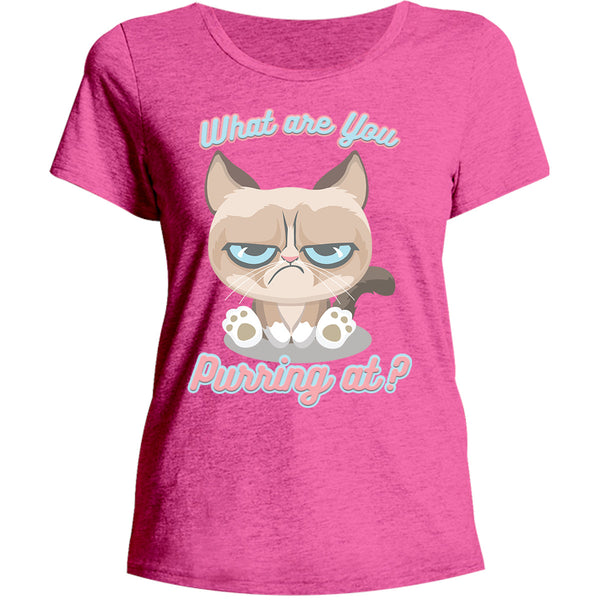 What Are You Purring At? - Ladies Relaxed Fit Tee - Graphic Tees Australia