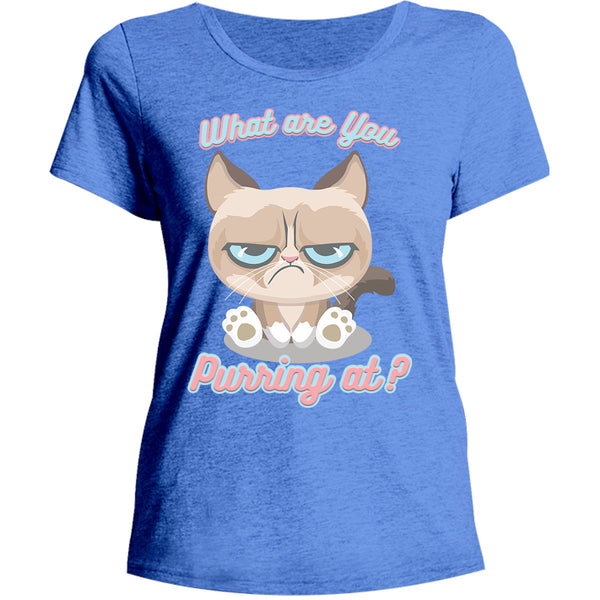 What Are You Purring At? - Ladies Relaxed Fit Tee - Graphic Tees Australia