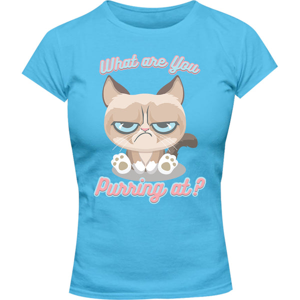 What Are You Purring At? - Ladies Slim Fit Tee - Graphic Tees Australia