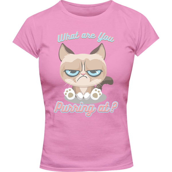 What Are You Purring At? - Ladies Slim Fit Tee - Graphic Tees Australia