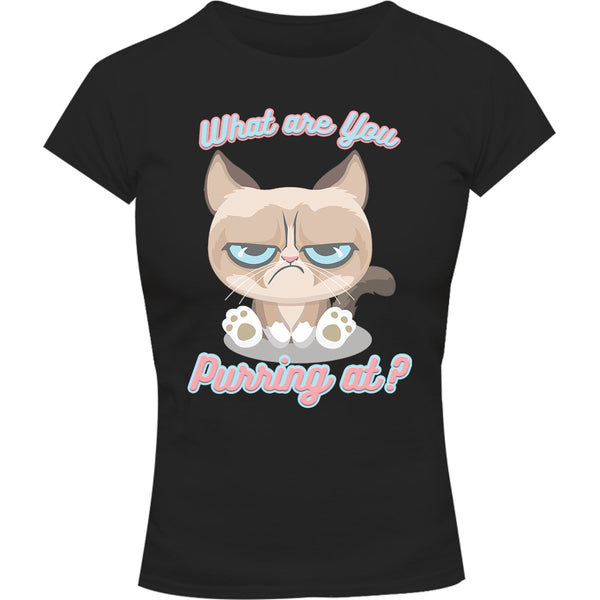 What Are You Purring At? - Ladies Slim Fit Tee - Graphic Tees Australia