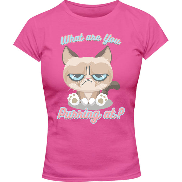 What Are You Purring At? - Ladies Slim Fit Tee - Graphic Tees Australia