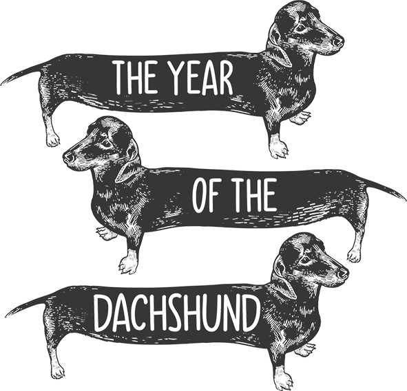 Year Of The Dachshund - Ladies Relaxed Fit Tee - Graphic Tees Australia