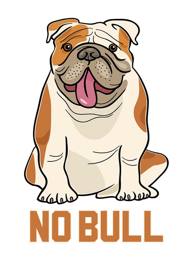 No Bull - Ladies Relaxed Fit Tee - Graphic Tees Australia