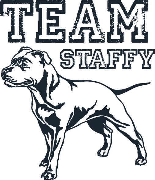 Team Staffy - Ladies Relaxed Fit Tee - Graphic Tees Australia