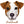 Jack Russell - Ladies Slim Fit Tee
