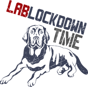 Lab Lockdown - Ladies Slim Fit Tee - Graphic Tees Australia