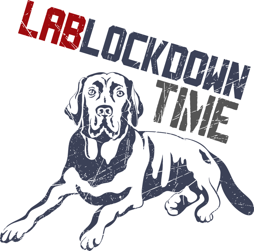 Lab Lockdown - Ladies Slim Fit Tee - Graphic Tees Australia