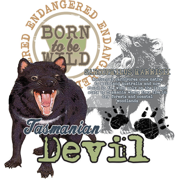 Tasmanian Devil Endangered - Ladies Relaxed Fit Tee - Graphic Tees Australia