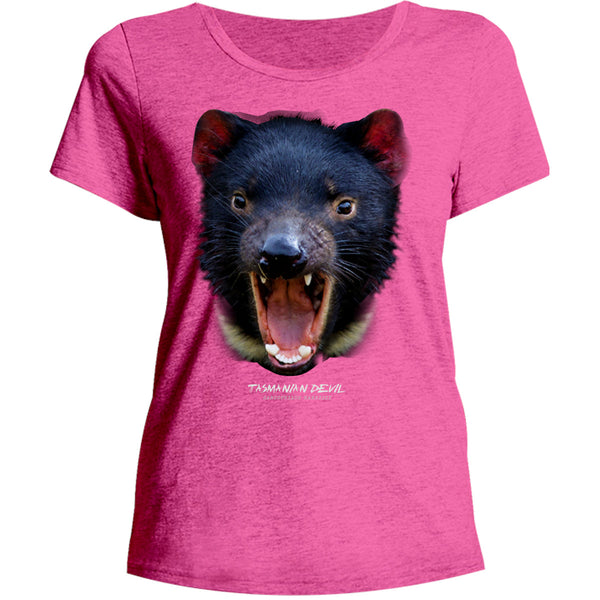 Tasmanian Devil Head - Ladies Relaxed Fit Tee - Graphic Tees Australia