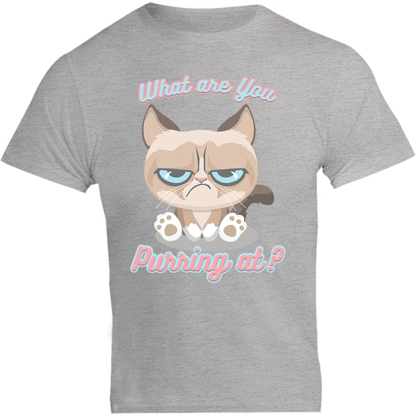 What Are You Purring At? - Unisex Tee - Graphic Tees Australia