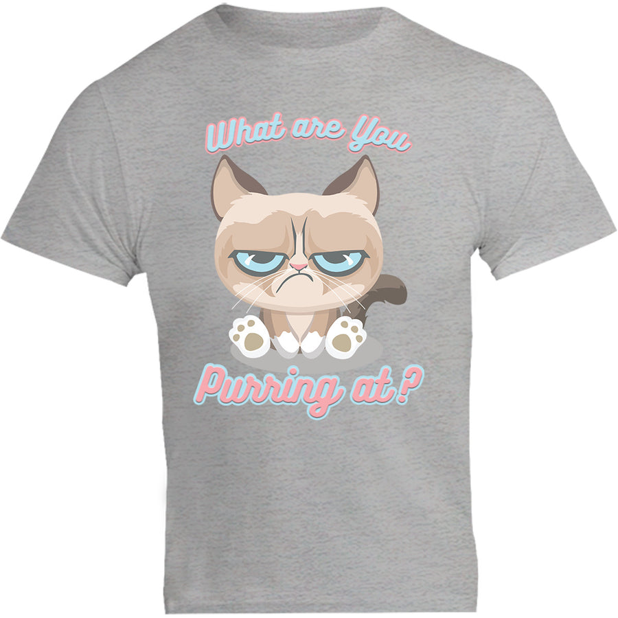 What Are You Purring At? - Unisex Tee - Plus Size - Graphic Tees Australia