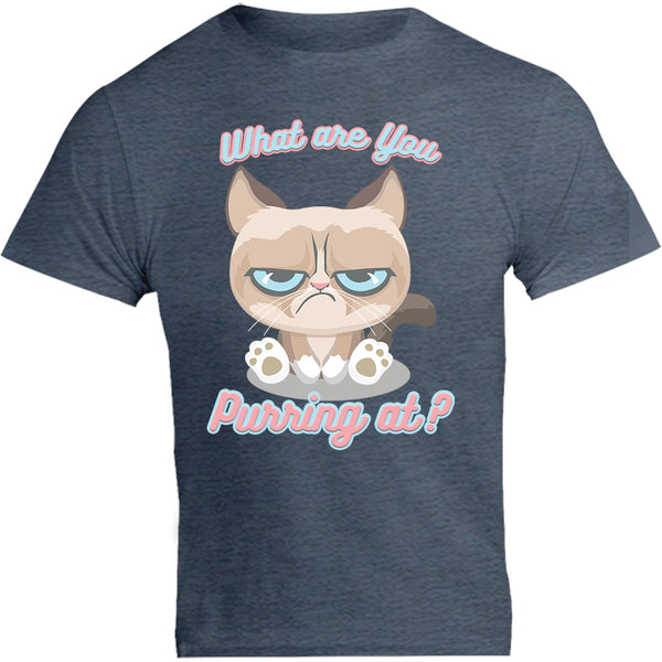 What Are You Purring At? - Unisex Tee - Graphic Tees Australia