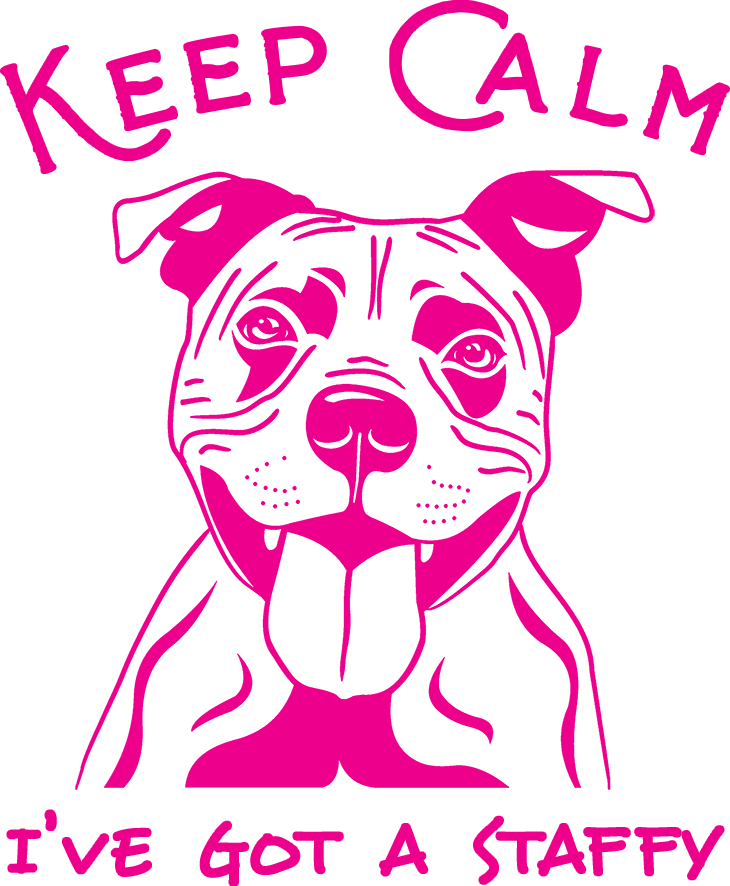 Keep Calm I've Got A Staffy - Ladies Relaxed Fit Tee - Graphic Tees Australia